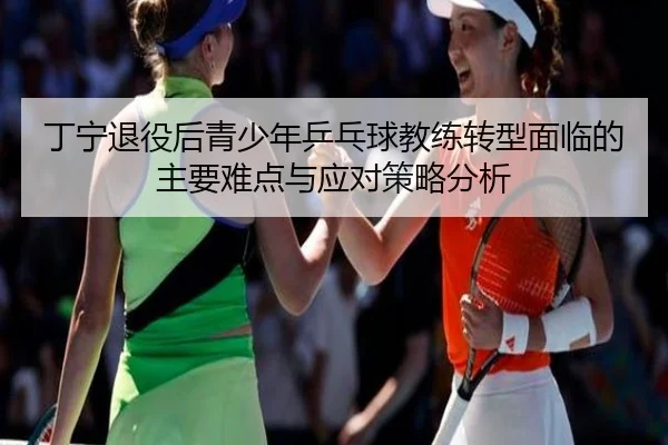 丁宁退役后青少年乒乓球教练转型面临的主要难点与应对策略分析